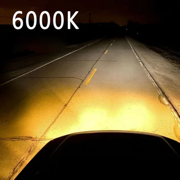 

100W Headlight Bulbs 6000K PX26d Stainless Steel Accessories 2pcs Amber