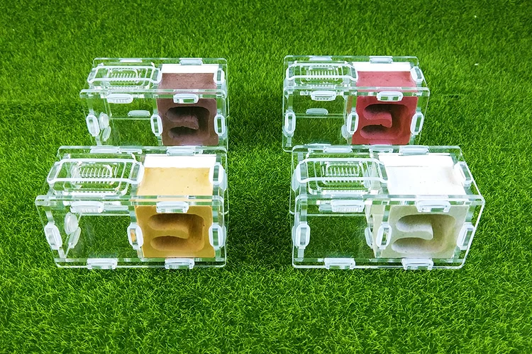 

mini ants nest ant farm acrylic&gypsum for young queens and small colonies ants house ant home