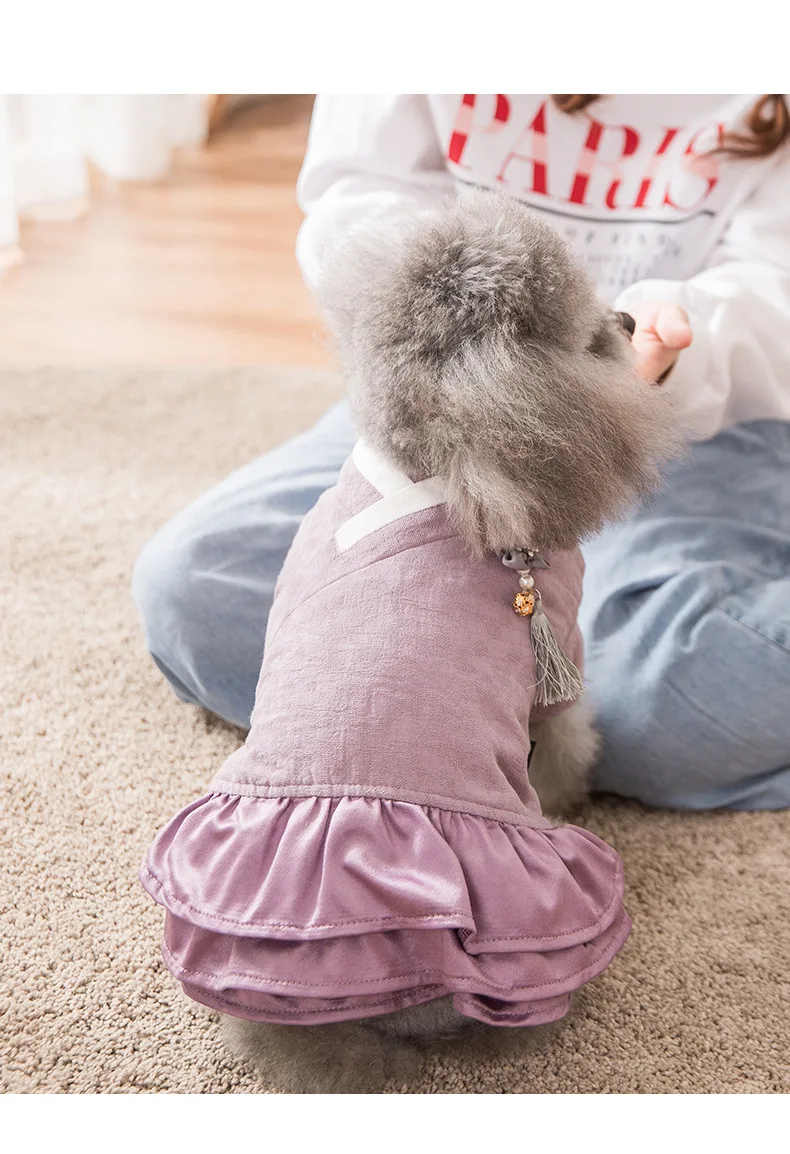 Ambaby/Одежда для домашних животных в стиле ретро с воротником и кисточками; Китайская одежда; осенне-зимняя одежда; Теплая Зимняя юбка принцессы для маленьких плюшевых собак