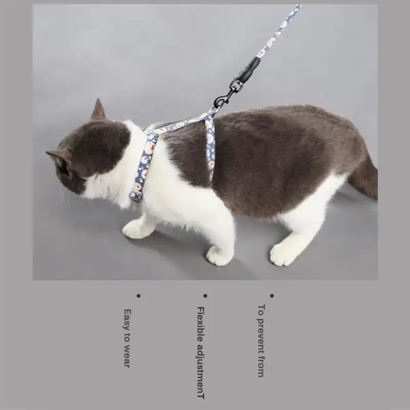 Ceinture De Traction A Corde Ronde Pour Chat Ceinture De Poitrine Pour Chat Gilet De Traction Pour Chat Corde De Traction Pour Animaux Domestiques Reglable Chaine Anti Casse Outils De Jardin