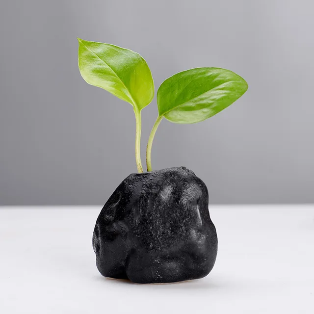 Kreatív Fekete Kis Kő Virág Egyszerű Mini Zen Dekoráció Elrendezés Váza Egyedi - Image 2