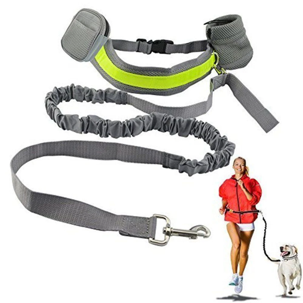 

Pet Dog Running Traction Lead Leashes Belt Walking Jogging Harness Set