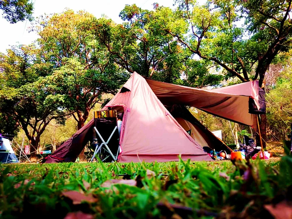 DEF6151C4A987C4612210F40C2B6E2EA