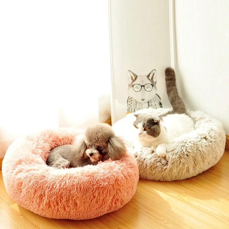 

Cat Bed Cat Litter Cat Mat Cat Bed