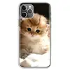 Mobile Phone Accessories