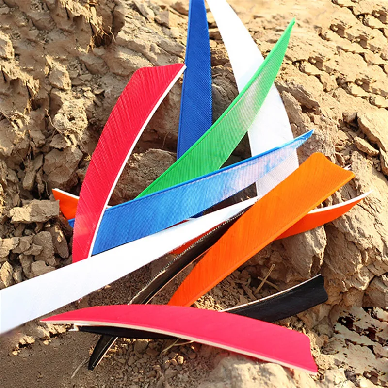 303557_no-logo_303557-3-01-g