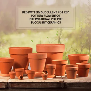 

Small Mini Terracotta Pot Clay Ceramic Pottery Planter Cactus Flower Pots Succulent Nursery Pots Great Ceramic Pottery Pots