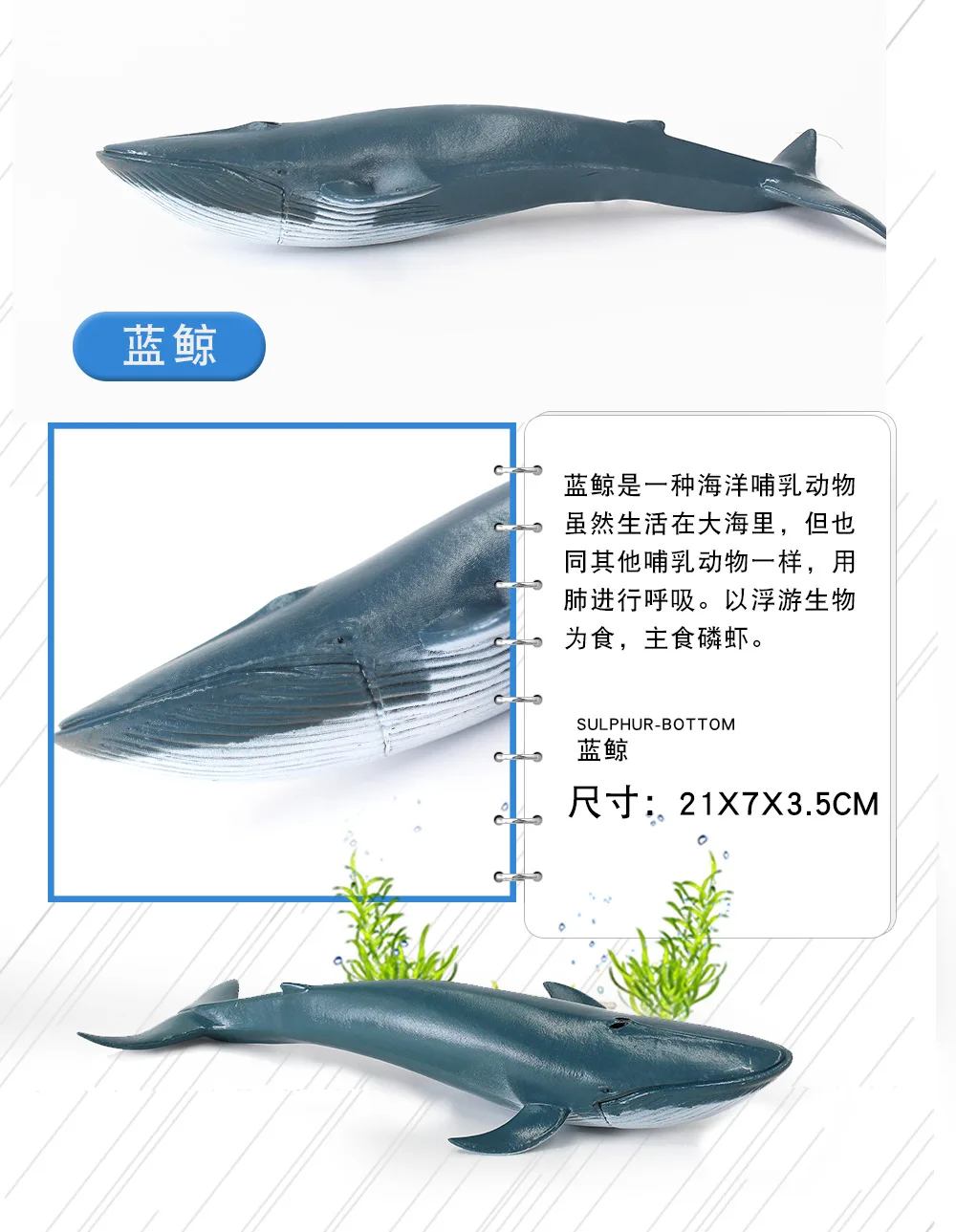 12-pvc КИТ Акула океаны дикие игрушки животные пластиковые модели животных игрушки