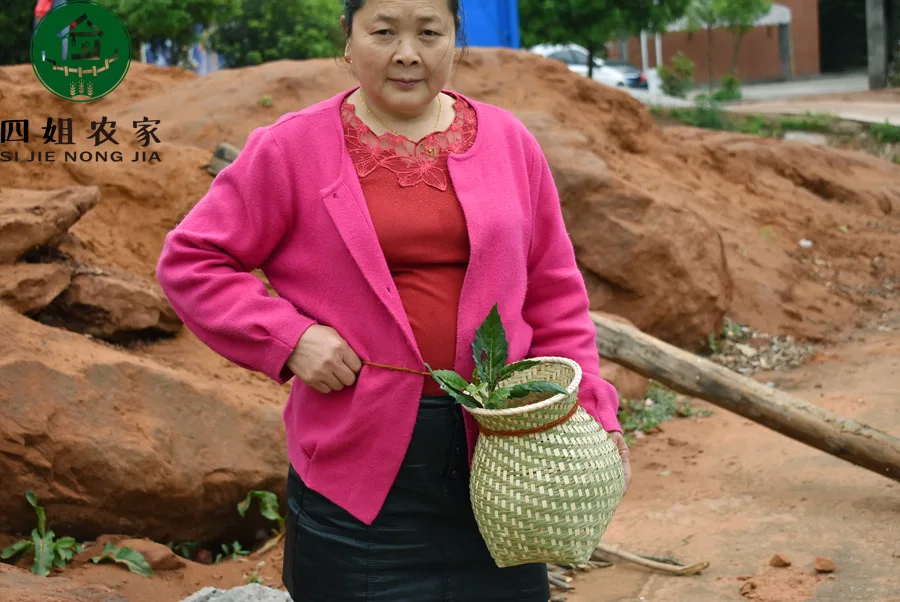 Bamboo Weaving Fish Basket Back Baskets Bamboo Basket Bamboo Fish Basket Decoration Props Basket for Flower Arranging Fish Baske
