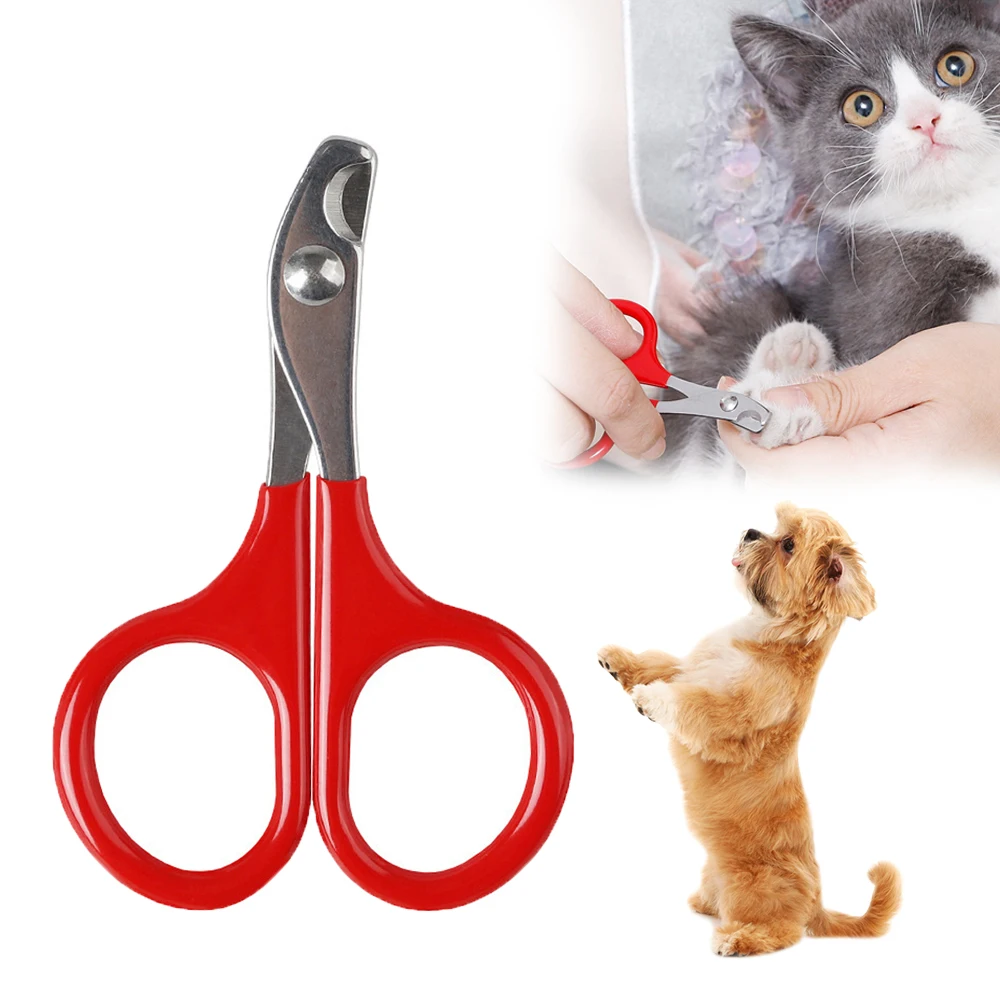Cortauñas pequeñas para mascotas, cortauñas para gatos, tijeras de acero inoxidable para perros, cuidado de mascotas, suministros de uñas para garra de animales