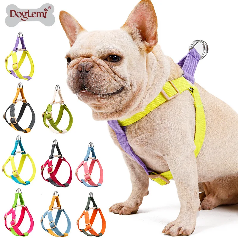 Dog Harness and Leash Set No Pull Pet Leashes for Small Dogs French