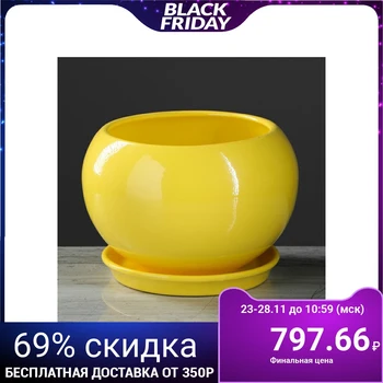 

Flowerpot Ball, premium, yellow, 2 L 4309218