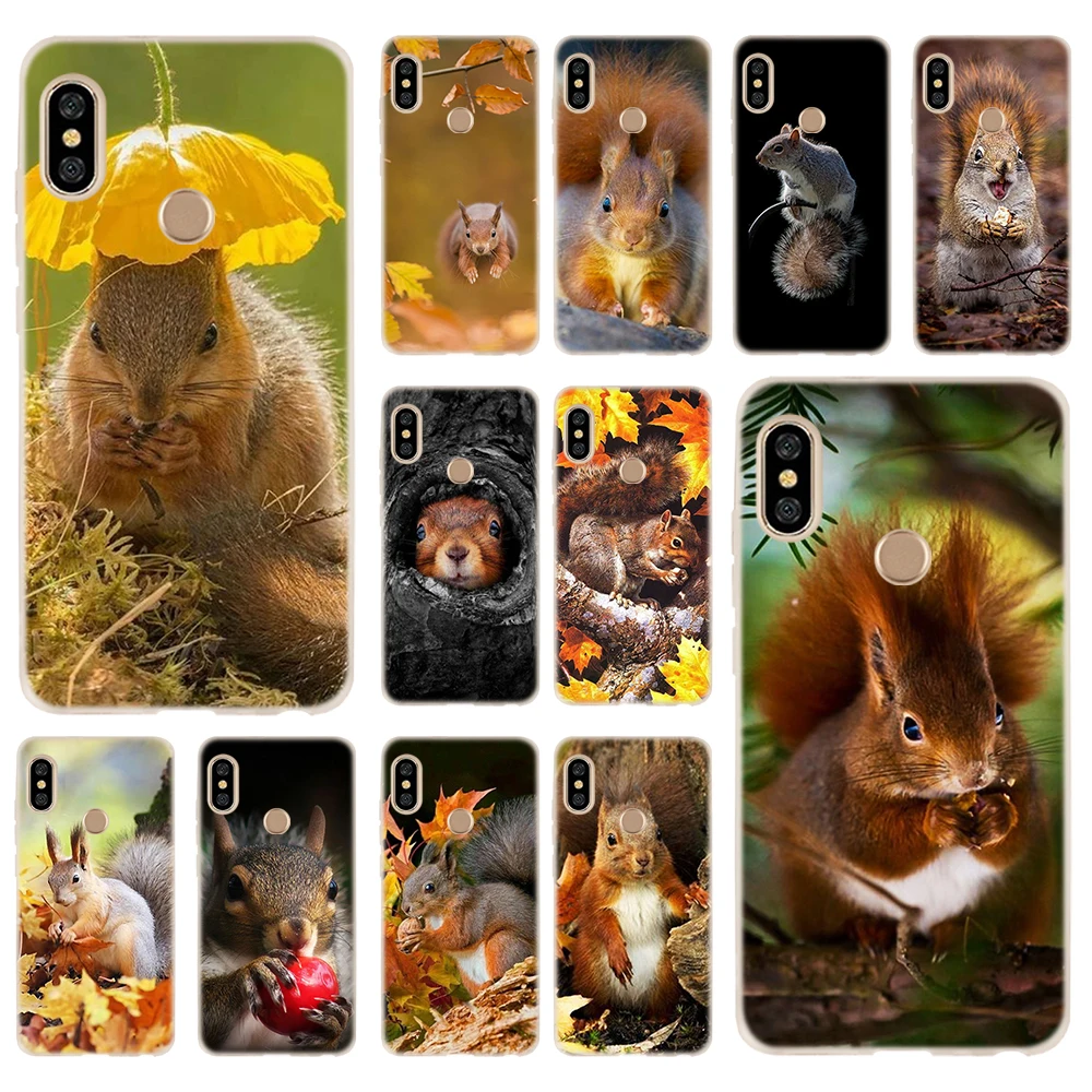 

Soft TPU Case Cover For Coque Xiaomi Redmi 4X 4A 6A 7a Y3 K20 5 Plus Note 8 7 6 5 Pro squirrel