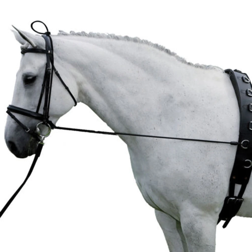 Horse Reins, Neck Stretcher, with Adjustable Buckles and Snap Ends for Horse Care and Grooming Accessories