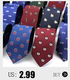 Для мужчин Галстук Пейсли Классические хлопковые галстуки и носовой платок Набор для Для мужчин формальные Цветочный принт Галстуки Для