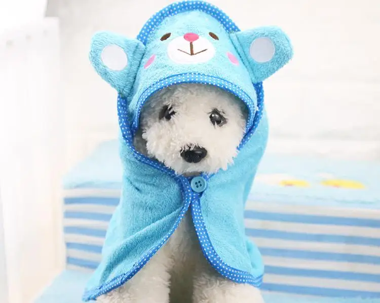 3717988513_799069744