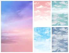 Puntelli dello Studio della foto del fondo di fotografia di compleanno della doccia del neonato di paesaggio naturale del contesto delle nuvole bianche del cielo blu di Mehofond