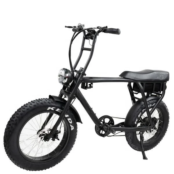 Bafang 250w V-B08M36v super long seat for double men fat electric bike, bicycle electric