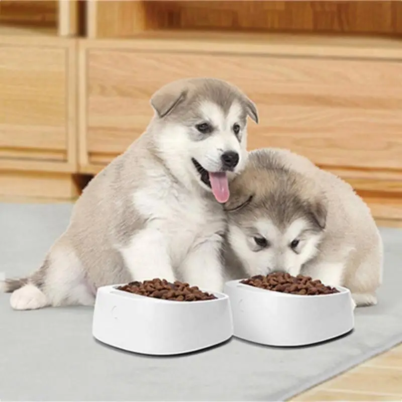 Pet Dog Digital Feeding Bowl Smart Weighing Large Dog Slow Feeder Drinking Bowls Weight Control to Guarantee Pet Health