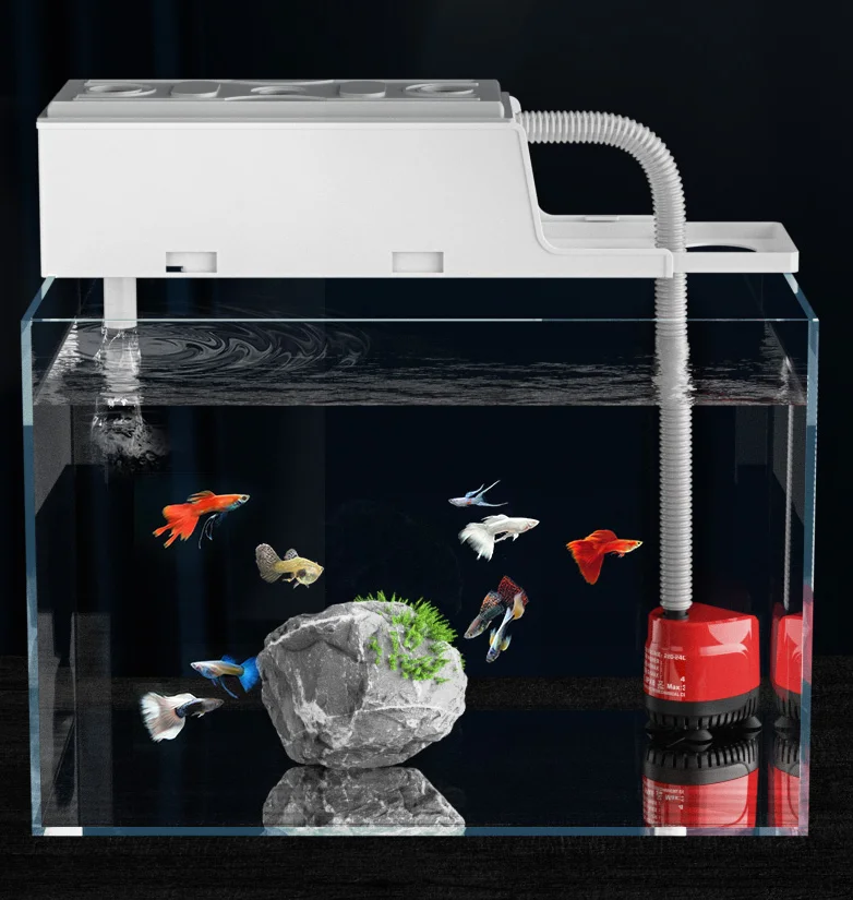 Fish Tank Upper Box Aquarium External Filter Box Water Circulation Pump Top Filter With Circulation Pump|Filters & Accessories| AliExpress