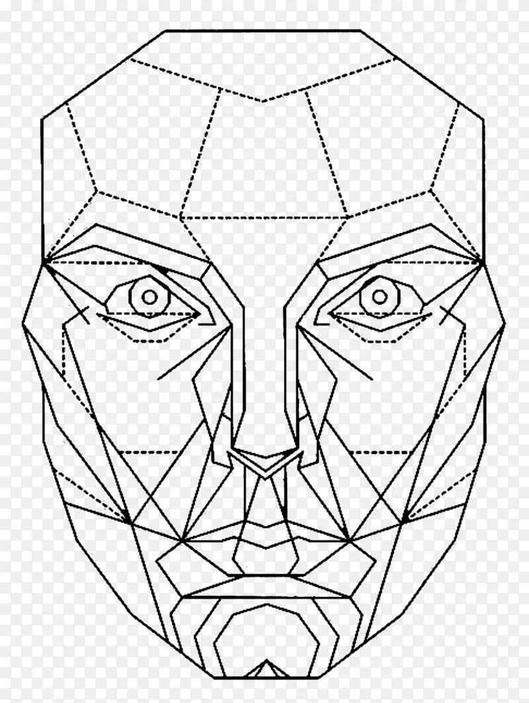 png黄金比率面数学比例-睫毛膏图片