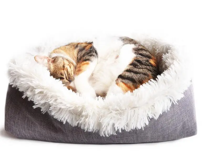 Двойной коврик для кошек, кровать для собак, зимний теплый длинный плюшевый мягкий удобный для щенков, питомник, одеяла для питомцев, собаки, кошки, гнездо, кровать, матрас