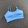 Blue bra