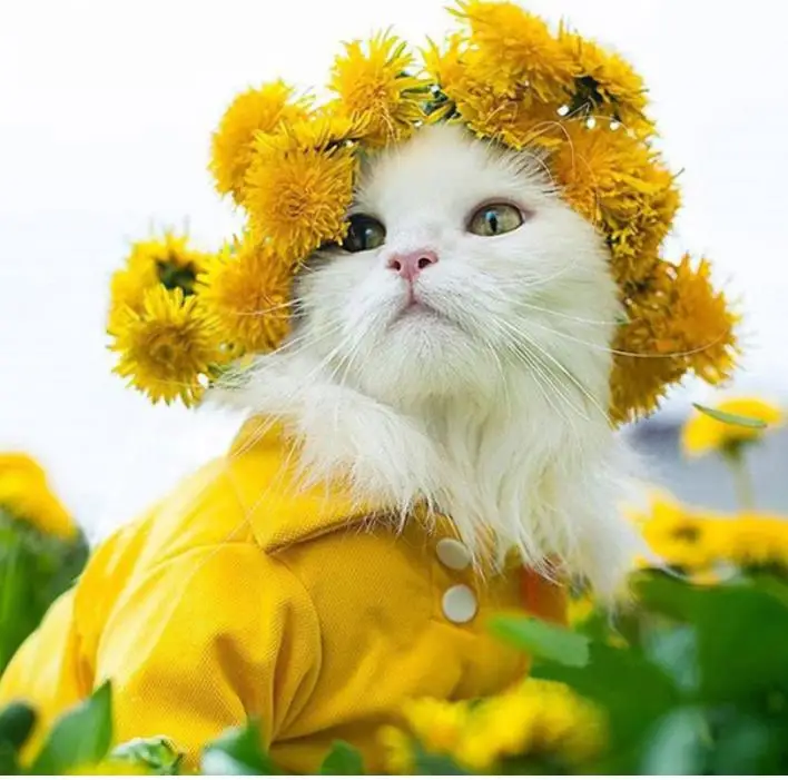 36020190316165202936