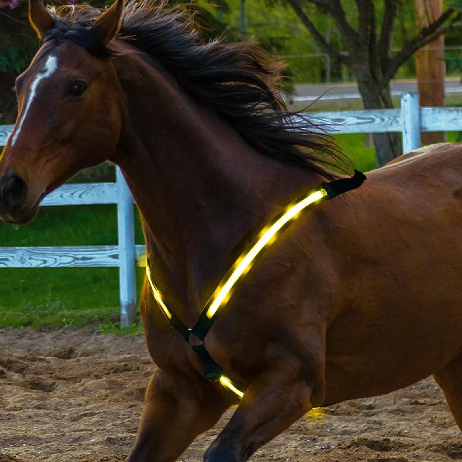 LED Horse Breastplate Collar Safety Reflective Equestrian Breast Collar Straps Horse LED Chest Breastplate Collar 4