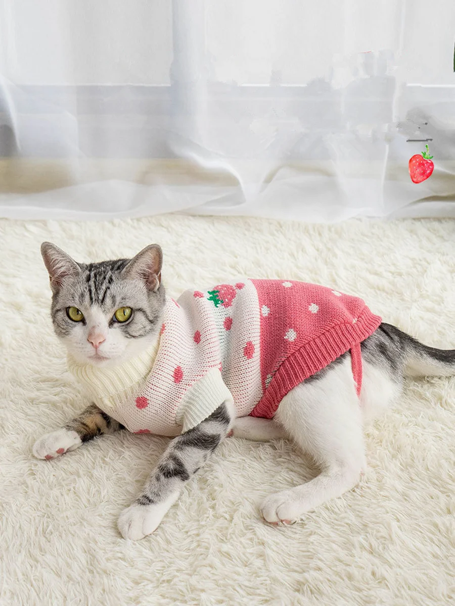 Winter Heart Dog Clothes Warm Christmas Cat Sweater for Small Dogs Pet  Clothing Coat Knitting Crochet Cloth Jersey Perro - AliExpress