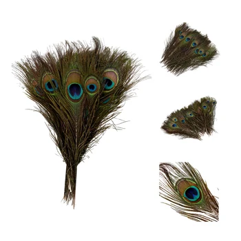 

Pack of 25pc Natural Peacock Feathers 10-12''