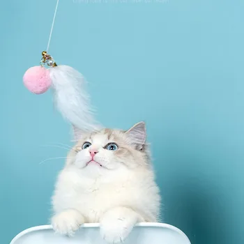 

Pet Cat Double Head Funny Cat Funny Cat Light Pen Toy