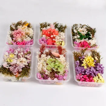 

1 Box Random Mix Style Dried Flowers Wedding Decoration Artificial Plants Decor Flowers Fake Flowers Party Craft DIY Accessories