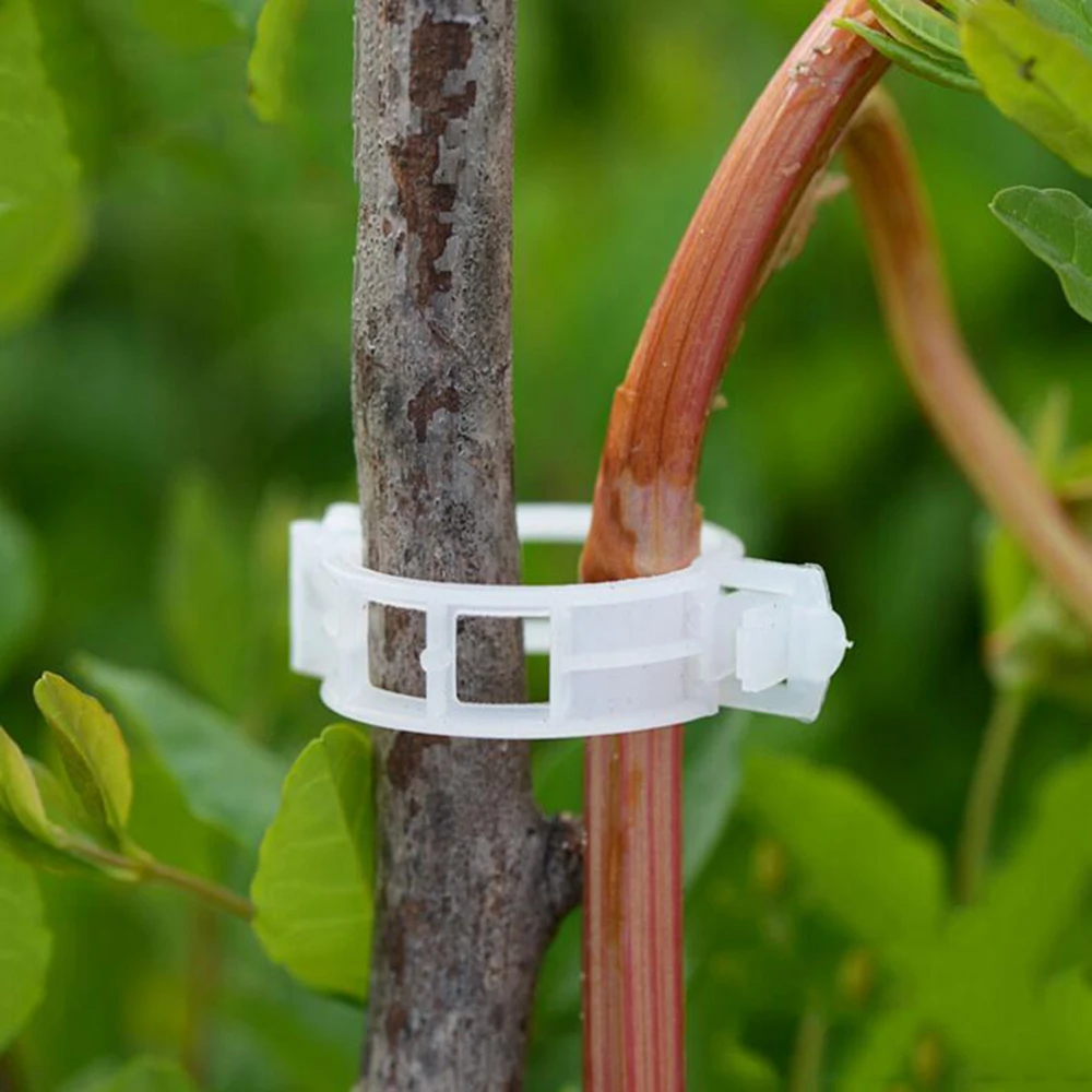 QQ截图20190912134436