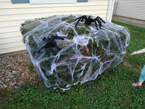 XR Partyday Horrible Scary Spider Web Cobweb Bar Haunted Scene Arranged Halloween Party Decoration Holiday -Cosplayware Store Hdc232d83c96846eda603986374363ee2F.jpg