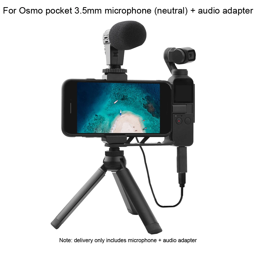 3,5 мм фотография Запись видео микрофон с аудио адаптером для DJI Osmo карман