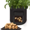 Garden Supplies
