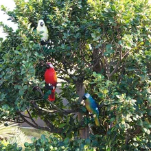 Solar Power LED Light Bird Parrot Lamp With Clip Night Lights for Outdoor Garden Path Ornament HYD88