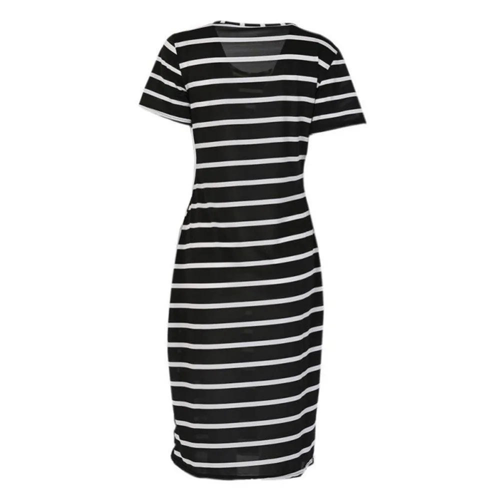 264485_no-logo_264485-1-01