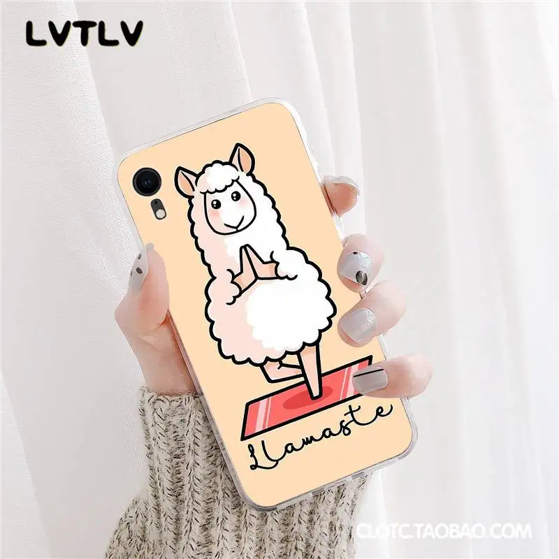 Lama Llama Alpacas Animal