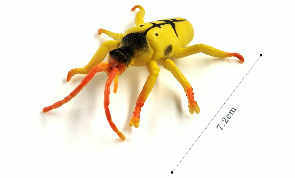 详情页-12款-SML-3个尺寸-彩色昆虫等_13