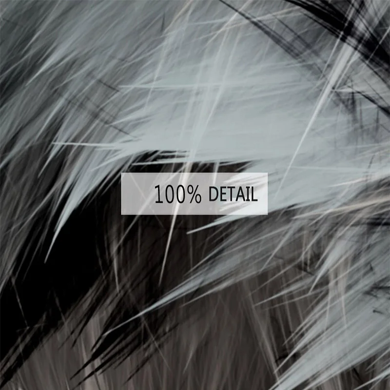 Custom-Mural-Wallpaper-3D-Abstract-Art-Black-And-White-Feathers-Wall-Painting-Living-Room-Bedroom-Fashion (3)