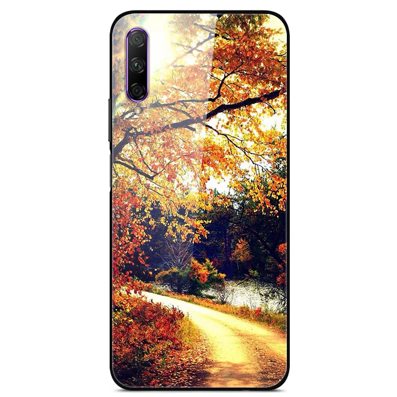 31 Для huawei Honor Play 3 чехол закаленное Стекло планета Космос крышка Стекло задняя крышка для huawei Honor Play 3 Play3 Жесткий PC Coque черный чехол для Honor Play 3 Стекло чехол - Цвет: 31
