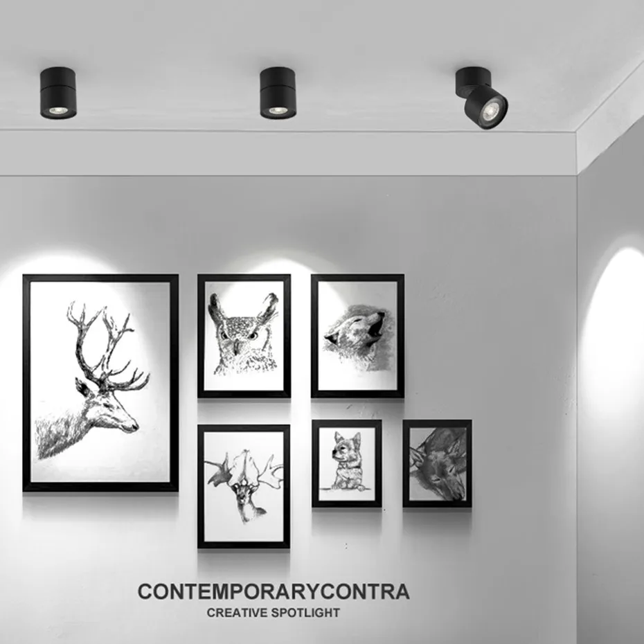 led spot light  (25)