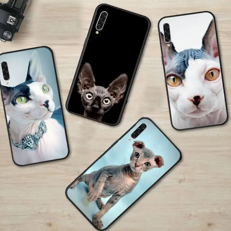 

Sphynx cat fashion Phone Case For Samsung Galaxy A 3 6 7 8 10 21 01 11 31 91 10S 20S 30S 50S PLUS