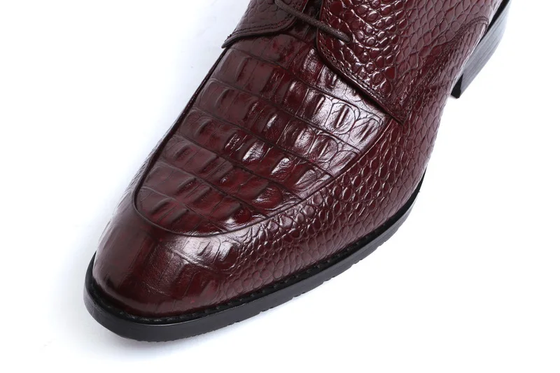 3404528445_1257755034