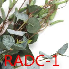 

Wedding & Important Occasion Accessories Bridal Bouquet RADC 1--16