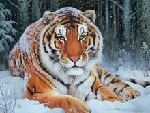  Evershine Diamond Painting Animals With Square Rhinestones Diamond Embroidery Tiger Winter Cross Stitch Mosaic Home Decoration 