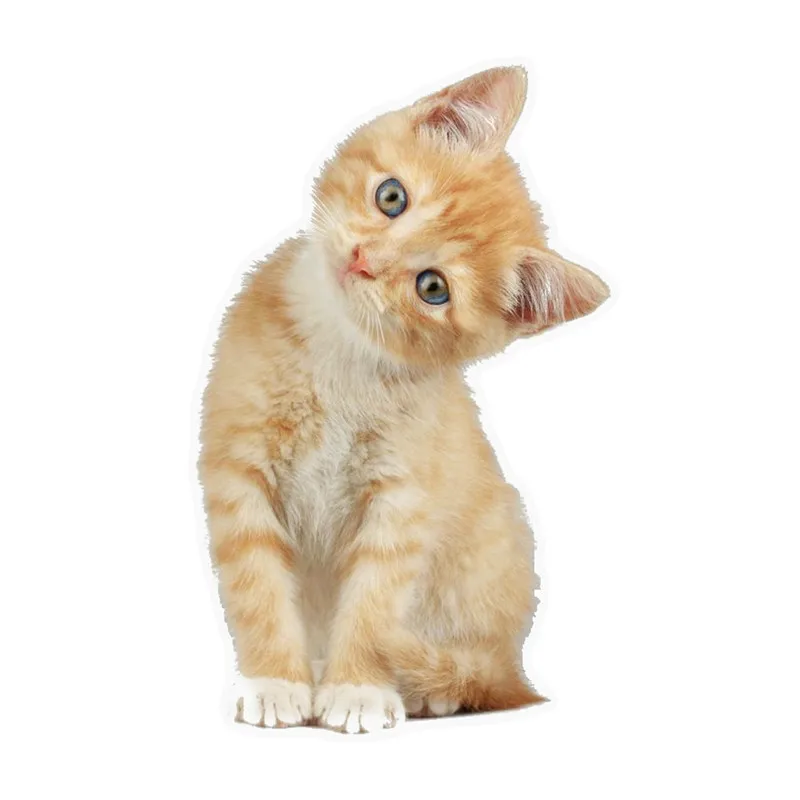 

Interesting Car Sticke Tabby Cat Orange Kitten Colorful CAR Window Motorcycle Decal Accessories Pattern Laser Waterproof PVC