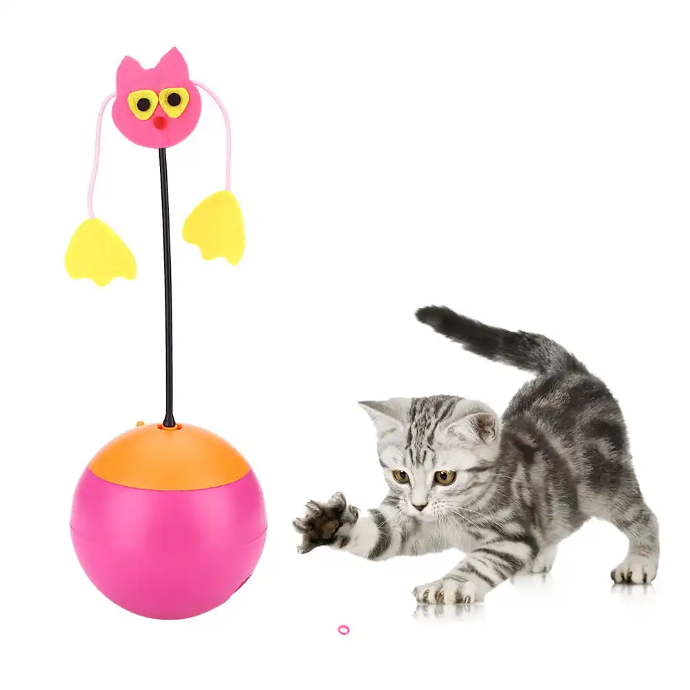 cat entertainment toys